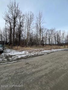 940 S Williwaw Dr, Palmer, AK, 99645