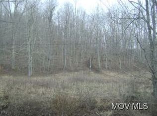 2006 Lick Frk, Spencer, WV 25276