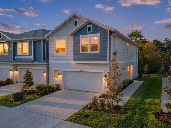 17240 Balance Cv, Land O Lakes, FL 34638