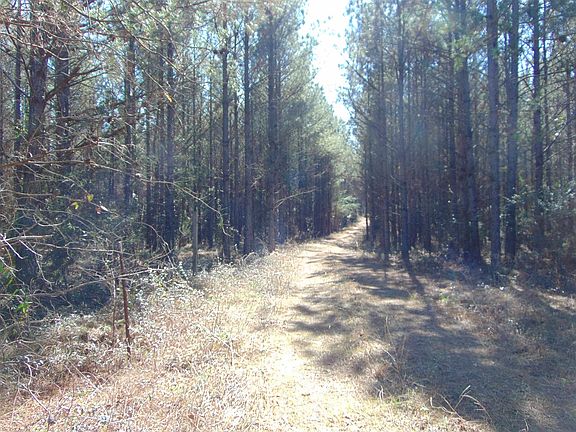 4th image of 9655 County Road 2