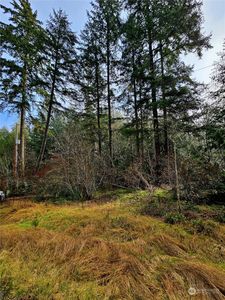 2590 E Mason Lake Road, Shelton, WA, 98584