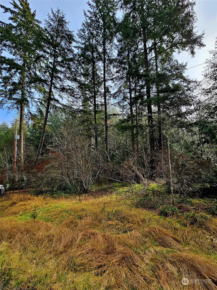 2590 E Mason Lake Road photo 1