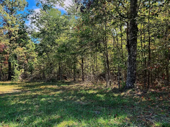 0 Long Branch Rd #179B, Spencer, TN 38585