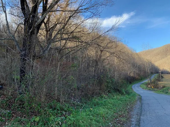 Blue Sulphur Springs Rd, Alderson, WV 24910