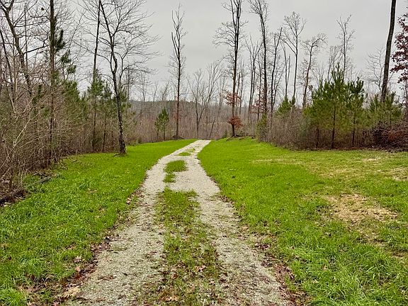 3rd image of 7900 Brooksie Thompson Rd