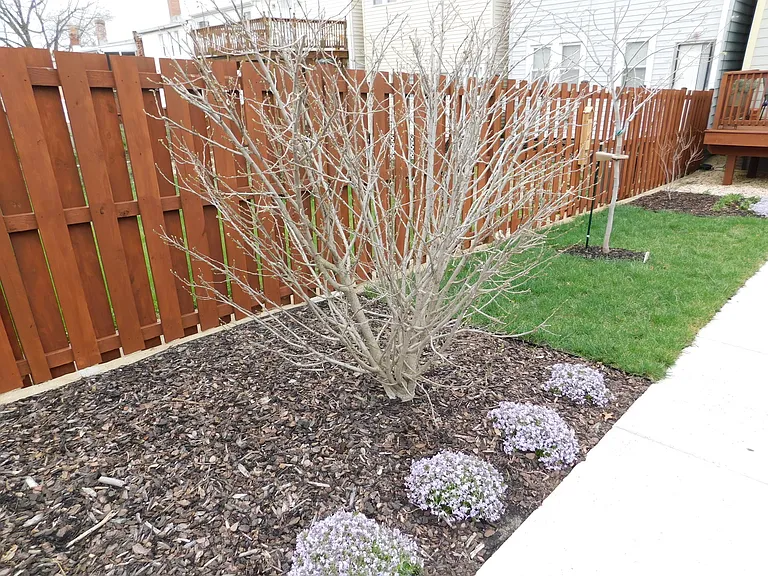 308 Webster St NW #2 — Photo 2