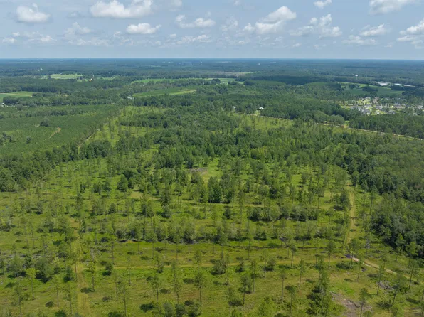 7568 Mitchell Rd, Hahira, GA 31632