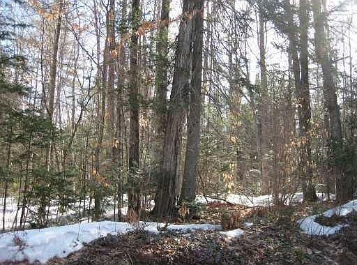 2nd image of 130 Howe Hill Road