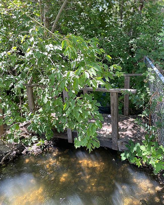Beautiful stream. 