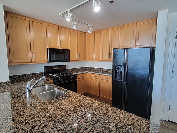 4th image of 250 E Pearson St APT 3204