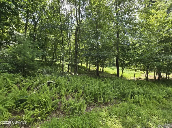 9 Community Pond Dr, Catawissa, PA 17820