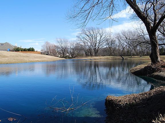 Neighborhood pond