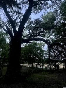 Powell Levee Rd, Cottage Grove, TN, 38224