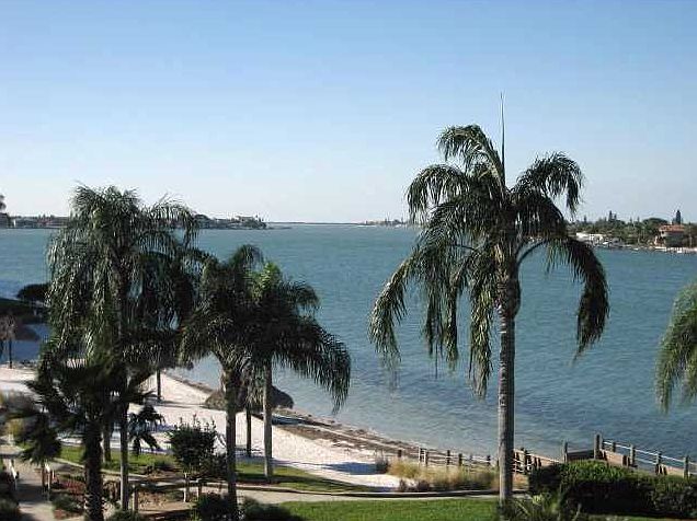 1st image of 6001 Bahia Del Mar Cir APT 427