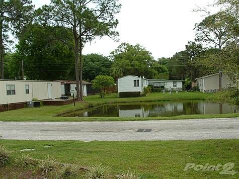 NEIGHBORHOOD FISHING