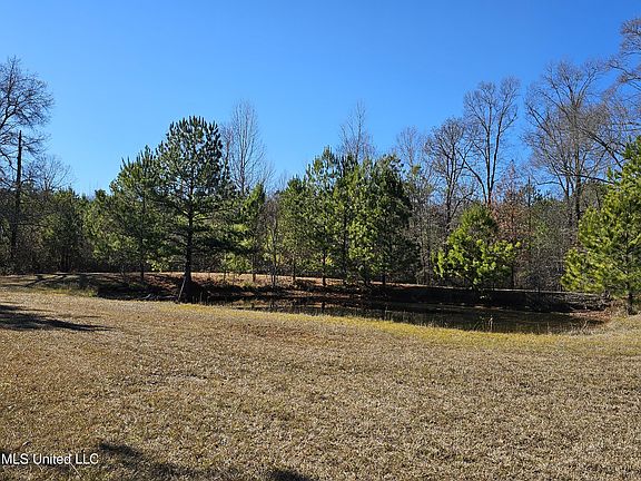 5018 Old Hillsboro Rd, Forest, MS 39074 | MLS #4067794 | Zillow