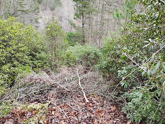 2nd image of 166 Shenendoa Dr