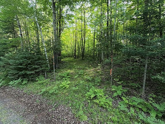 5th image of LOT 29 Frontier Rd