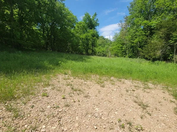 0 Gossburg Rd Lot 1, Beechgrove, TN 37018