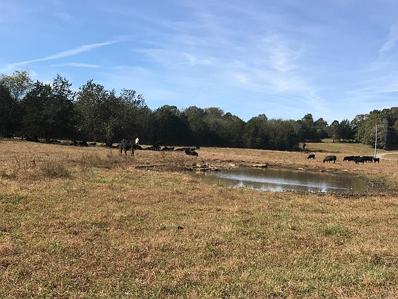 From the driveway; the unit is just to the left of the pond.