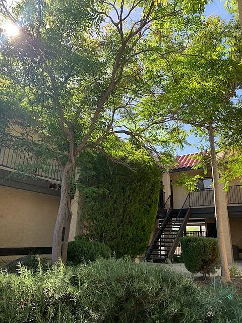 2 bed, 850 sqft, $1,000 — Photo 1