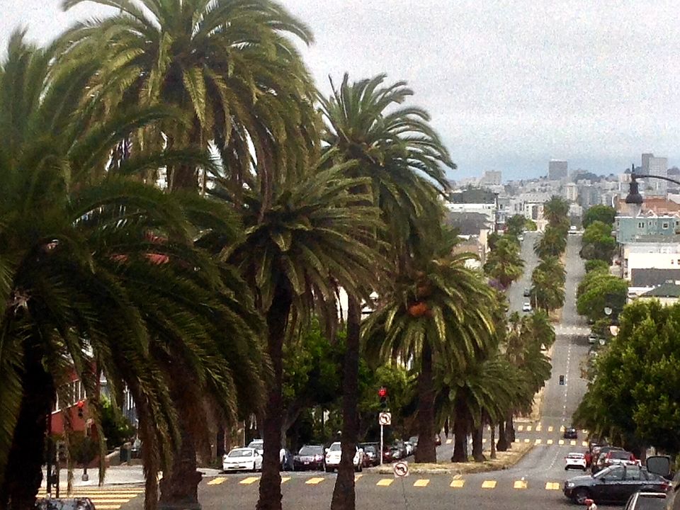 Located at top of Dolores Street in Noe Valley