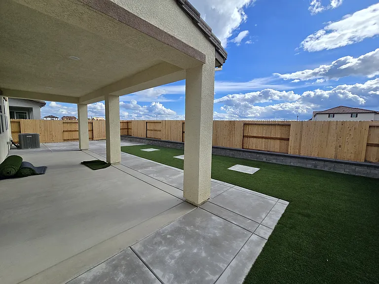 Another backyard view