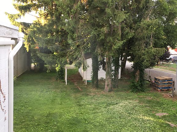 Backyard view from Kitchen window