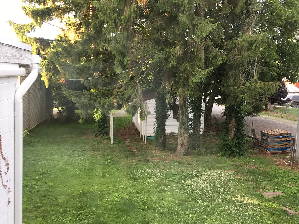 Backyard view from Kitchen window