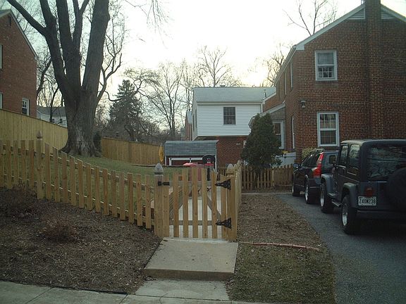Backyard and driveway