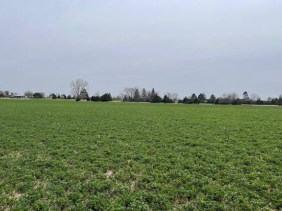 2nd image of 1536 Birdie Dr Lot 16