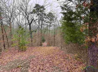 13621B Shamrock Rd, Ore City, TX 75683