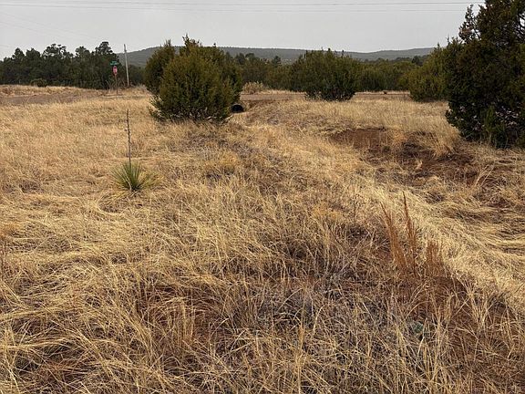 5th image of 90 Jesse James Rd