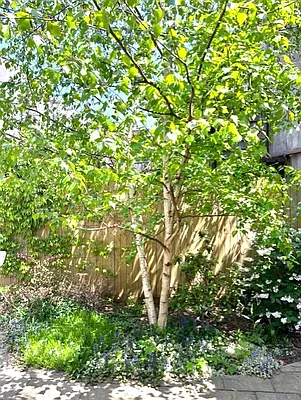 Sold by Corcoran | media 17