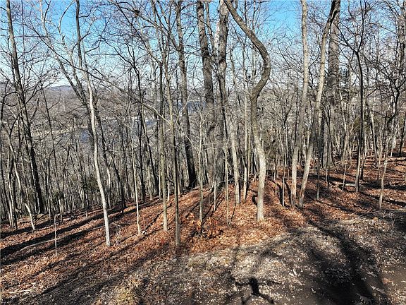 5th image of E Center Rd