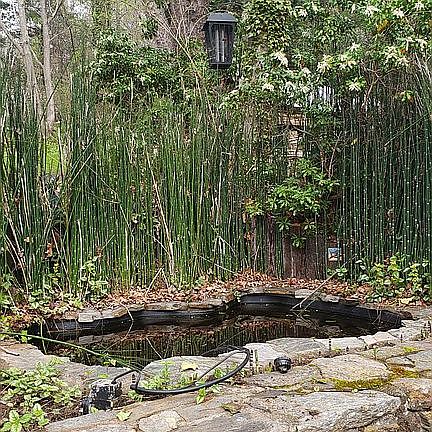 Koi pond above patio