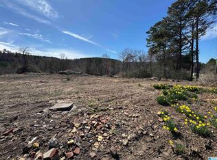 0 Columbus Blvd, Cordova, AL 35550