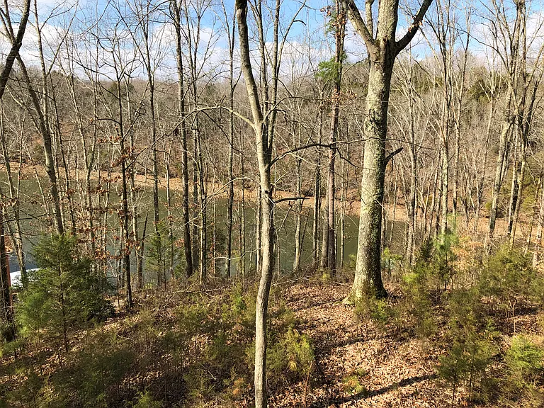 Winter view from house
