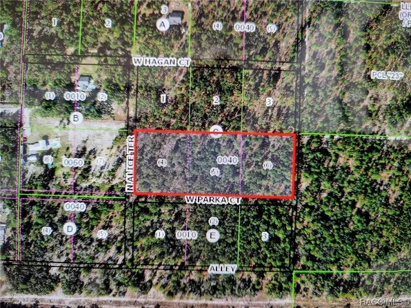 6375 W Parka Ct, Dunnellon, FL 34433