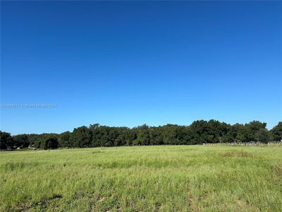 C F Kinney Rd, Waverly, FL, 33877