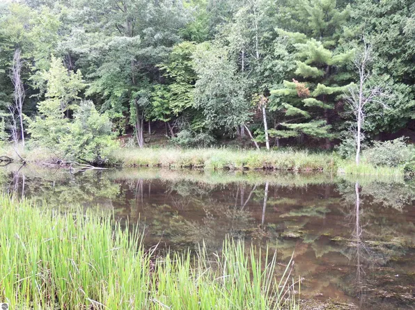 970 N Rolland Rd, Weidman, MI 48893