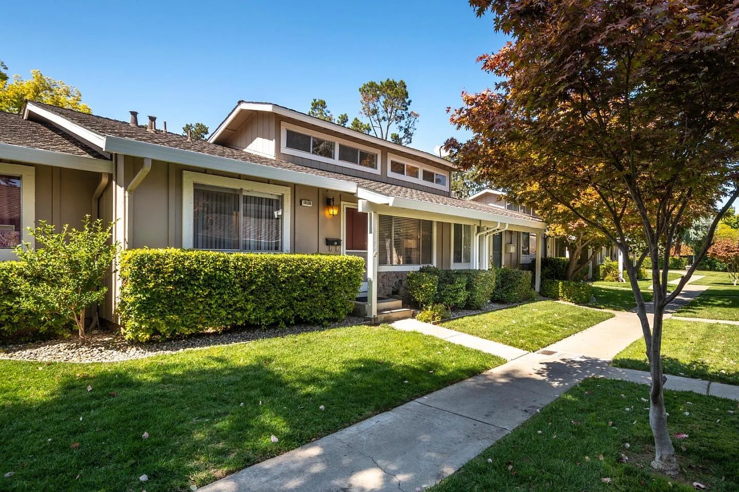 10126 English Oak Way photo 1