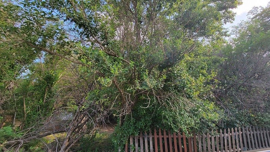 1st image of 425 Garden Acres Dr