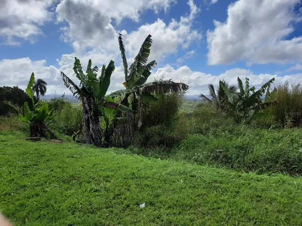 4 Rivera, Naranjito, PR 00719