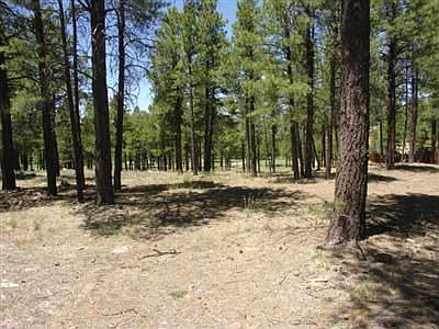 2nd image of 808 Forest Highlands