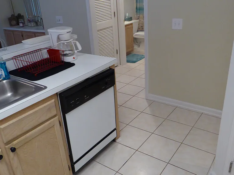 541 White River Dr #16G — Photo 10