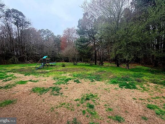5th image of 10156 Pineview Ln