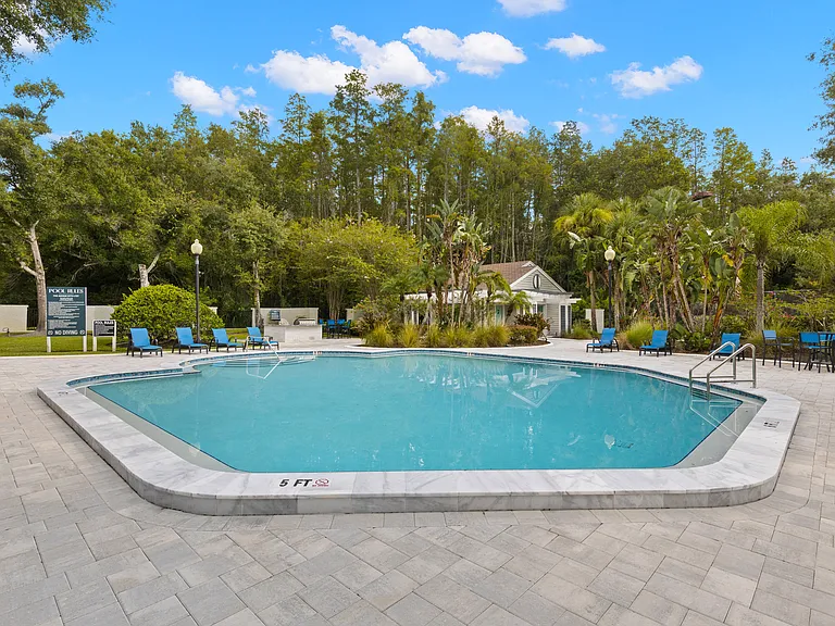 The Pointe at Carrollwood — Photo 36