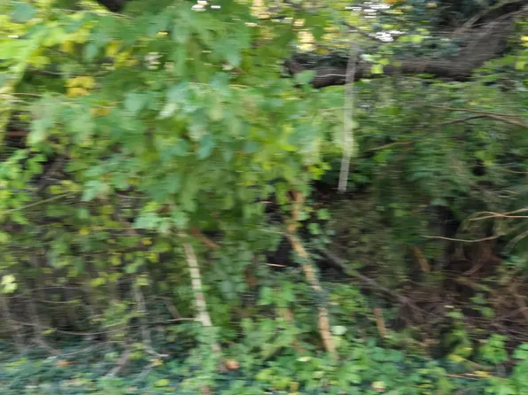 26519-3 Bridges Rd, Federalsburg, MD 21632