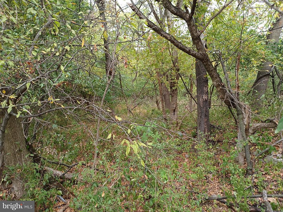 2nd image of 5225 Militia Hill Rd